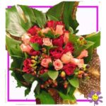 Coral Bells