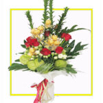 Red & White Rose